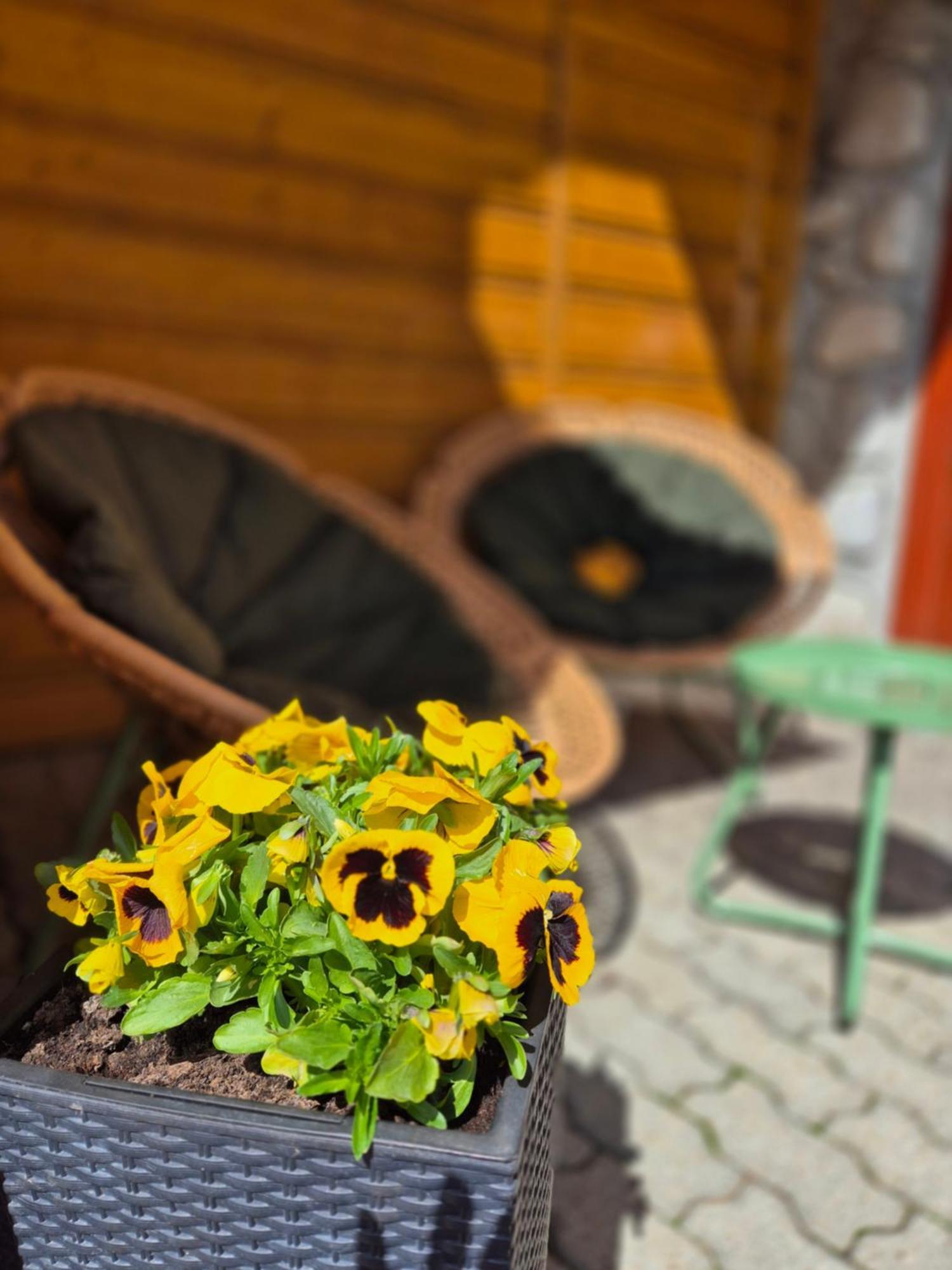 U Parow Sauna & Jacuzzi Białka Tatrzańska Exterior foto